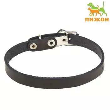 Ошейник кожаный однослойный, 30 х 1 см, ош 19-27 см, черный