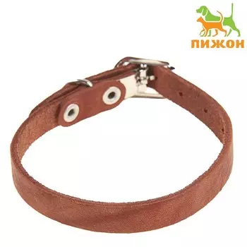 Ошейник кожаный однослойный, 30 х 1 см, ош 19-27 см, коричневый