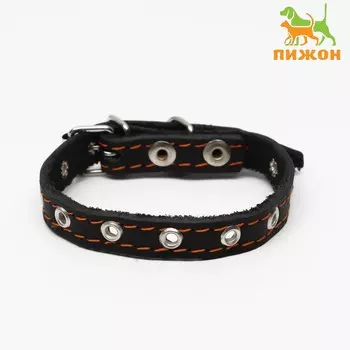 Ошейник кожаный однослойный, безразмерный, 37 х 1.5 см, ош 21-32 см, черный