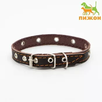 Ошейник кожаный однослойный с рифленными люверсами, безразмерный, 40 х 1,5 см, ош 27-35 см, корич700