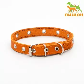 Ошейник кожаный однослойный с рифленными люверсами, безразмерный, 40 х 1,5 см, ош 27-35 см, рыжий 70