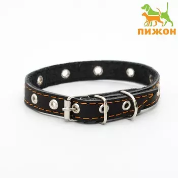 Ошейник кожаный однослойный с рифлеными люверсами, безразмерный, 40 х 1,5 см, ош 27-35 см, черный 7