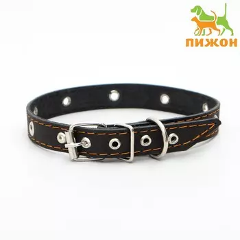 Ошейник кожаный однослойный с рифлеными люверсами, безразмерный, 50 х 2 см,ош 36-44 см,черный