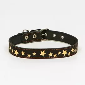 Ошейник кожаный однослойный, тиснёный