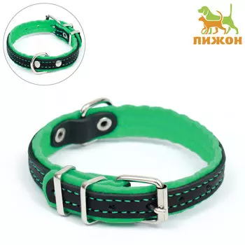 Ошейник кожаный с подкладом