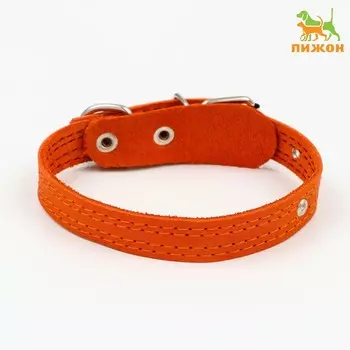 Ошейник кожаный с язычком прошитый, 2 х 40 см, ош 25-35 см , рыжий