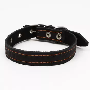 Ошейник кожаный с тиснением на синтепоне, 46 х 2 см, ош 25-35 см, черный