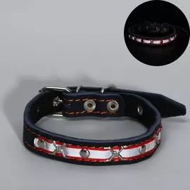 Ошейник кожаный светоотражающий на синтепоне бабочка, 45 х 2 см, ош 25-35 см, синий