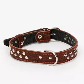 Ошейник кожаный тисненый на фетре, клёпаный, 60 х 3 см, ош 45-57 см, коричневый