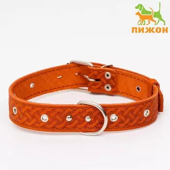 Ошейник кожаный тисненый однослойный, безразмерный, 64 х 3,5 см, ош 31-60 см, рыжий