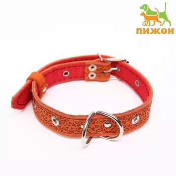 Ошейник кожаный усиленный капроном с полукольцом, 55 х 2,5 см, ош 27-53 см, рыжий