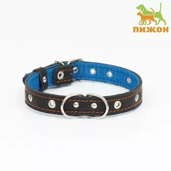 Ошейник кожаный усиленный капроном с полукольцом, 55 х 2,5 см, ош 27-53 см, черный