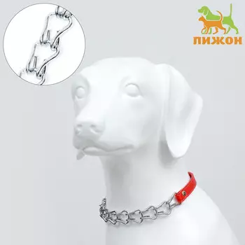 Ошейник металлический с вставкой из экокожи, 60 см 3 мм