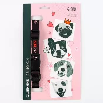 Ошейник my dog is the best, застежка - фастекс, 2 см 25-40 см