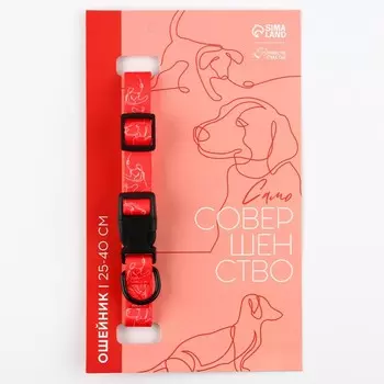 Ошейник one line, застежка - фастекс, 2 см 25-40 см