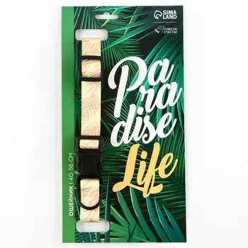 Ошейник paradise life, застежка - фастекс, 2.5 см, 40-55 см