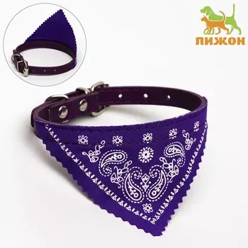 Ошейник с косынкой 32 х 1 см, ош 22-28, фиолетовый