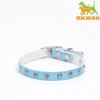 Ошейник с круглыми стразами,28 х 1 см, ош 21-25 см, искусств. кожа, голубой