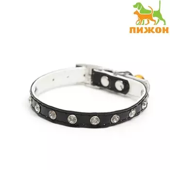 Ошейник с круглыми стразами, 28 х 1 см, ош 21-25 см, искусств. кожа, черный