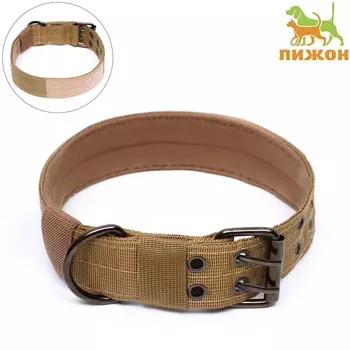 Ошейник с мягкой подкладкой, 594 см, ош 35-45 см, песочный