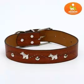 Ошейник с основой из термопластичной резины украшенный