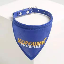 Ошейник с платком