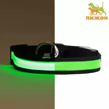 Ошейник с подсветкой flash 3 режима свечения размер м, ош 40-48 х 2,5 см зеленый