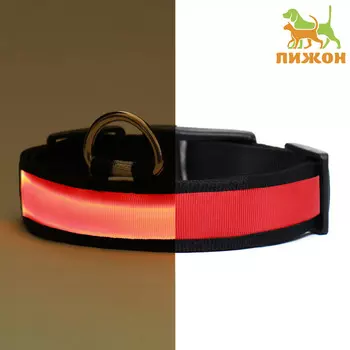 Ошейник с подсветкой flash 3 режима свечения, размер xl, ош 52-602.5 см, красный