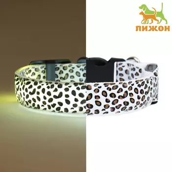 Ошейник с подсветкой леопард 3 режима свечения, размер s, ош 22-40 х 2,5 см белый