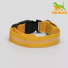 Ошейник с подсветкой размер s, ош 35-43 х 2,5 см, 3 режима свечения желтый
