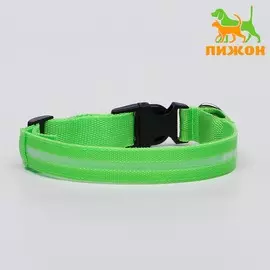 Ошейник с подсветкой размер xl, ош 52-60 х 2,5 см, 3 режима свечения зеленый