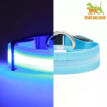 Ошейник с подсветкой, зарядка от usb, размер s, ош 34-41 см, 3 режима, голубой