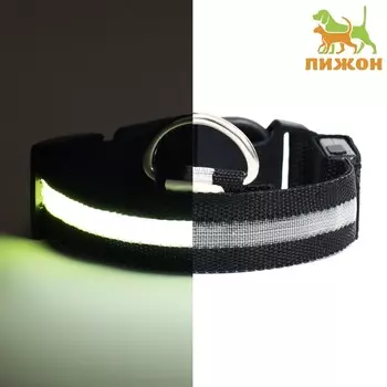 Ошейник с подсветкой, зарядка от usb, размер m, ош 37-46 см, 3 режима, черный