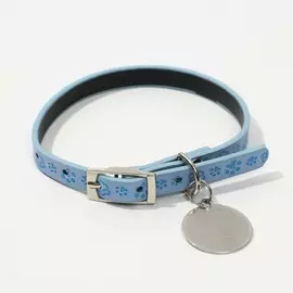 Ошейник с подвесом