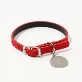 Ошейник с подвесом