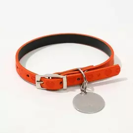 Ошейник с подвесом