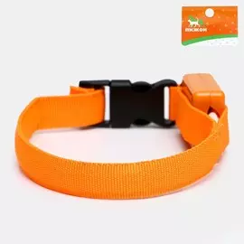 Ошейник светящийся узкий для небольших собак, оранжевый, 26 х 1,5 см