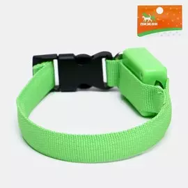 Ошейник светящийся узкий для небольших собак, зелёный, 26 х 1,5 см