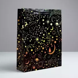 Пакет голографический вертикальный