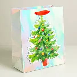 Пакет голографический вертикальный