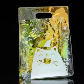 Пакет из голографического пластика