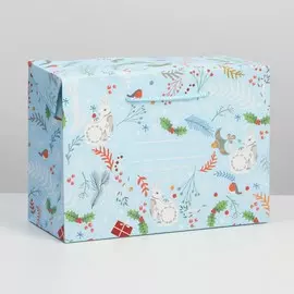 Пакет-коробка