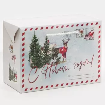 Пакет-коробка