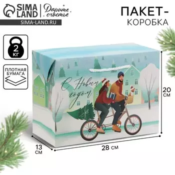 Пакет-коробка