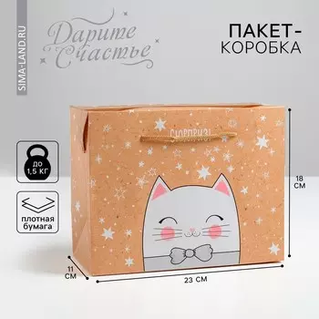Пакет—коробка
