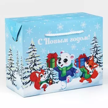 Пакет - коробка