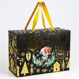 Пакет-коробка подарочная