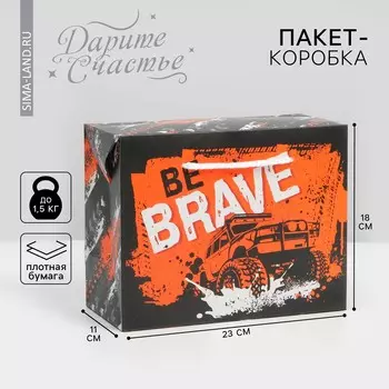 Пакет—коробка, подарочная упаковка,