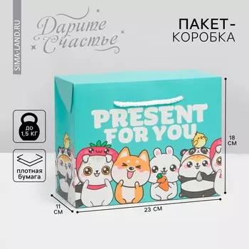 Пакет—коробка, подарочная упаковка,