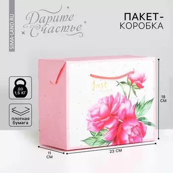 Пакет—коробка, подарочная упаковка,